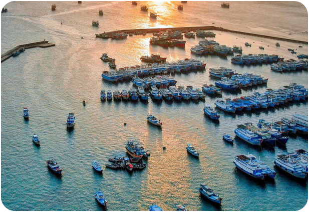 Phú Quý Sea Travel